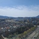 부산대학병원 앞 Daum카페