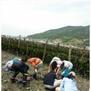 송시마을체험장 이미지