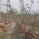 시진농장 이미지