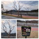 기성초구산분교장 네이버블로그