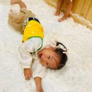 해창이레어린이집 이미지