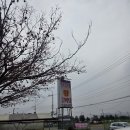 탄금대로 | [충주 맛집] 탄금대 왕갈비탕, 현지인 추천 점심맛집 솔직후기