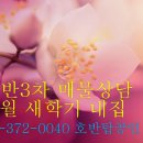 모닝글로리공인중개사사무소 네이버블로그