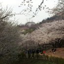 어쭈구리 이미지