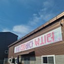 히트실내바다낚시터
