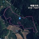 횡성군갑천면하대보건진료소 | 횡성군 갑천면 하대리 도로접한 편안한 임야 8220평