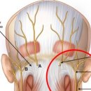 김순신한의원 이미지