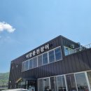 어람풍천장어 이미지