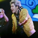 옐로우샤크 이미지