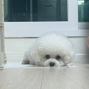 [일상] 10월 바기일기