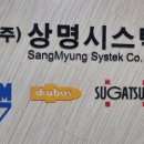 대한시스텍(주)