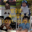 세원어린이집 | 10월 육아일기(10개월 아기)/붙잡고 걷기 성공,동글이 이모,머리쿵헬멧,밥상 안녕,회식 다녀온 아빠...