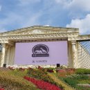 캡스톤 메디컬 이미지