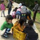 평화어린이집 이미지