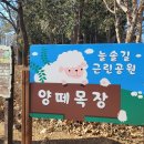 인천 남동구 논현동 늘솔길공원 양떼목장 이미지