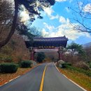 [남양주 역사문화 아카데미] 영화로 만나는 남양주 | [전라남도여행 해남군] 해남 대흥사의 동백 숲, 녹차향 배인 달달한 스토리텔링에 촉촉하게 젖어 본다 (1)