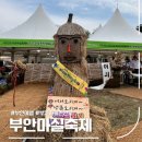 마실 | 2026 부안마실축제 일정 &amp; 2025 후기