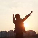 인셀덤이야기