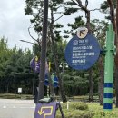 에버랜드 | 🏎️[Peaches Run Universe 2025]F1 데모런 &amp; 에버랜드 후기