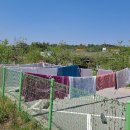 중동세탁 이미지