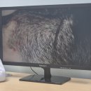 칠보한의원 이미지