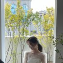 하우스오브지니