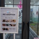 몰리스 놀이터/호텔 이미지