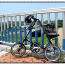 고향의봄길 이미지