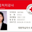 페트롤 | 대한적십자사 응급처치 강사 과정 합격 후기: 안전강사 그리고 레이스 페트롤을 위한 전문 역량 강화