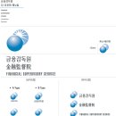 금융감독원 이미지
