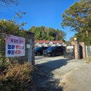꽃길만걷개 | [춘천]꽃길만걷개 펜션에서 꽃길만걷자~✿