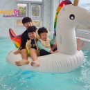 포항실내수영장 이미지