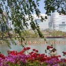 스타기보청기 이미지