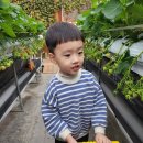 정후농장 이미지