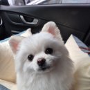 동이몽이 이미지