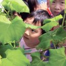 수림 농장 이미지