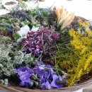 미력 농장 이미지