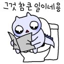 브론시스 이미지