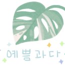 네오공인중개사사무소 이미지