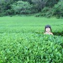 한수풀의원 이미지