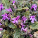 금창초등학교 이미지