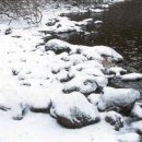 안도현 시인의 시노래 - 겨울 강가에서(최영주 곡 노래) 이미지