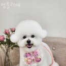 멍뜰리에 네이버블로그