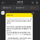 대왕보건진료소 네이버블로그