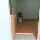 사파동200 이미지