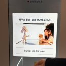 태극로 | 소노캄 고양 펫부스(PETBOOTH) 후기｜반려동물 호캉스 필수 젤리샷 모찌 대성공