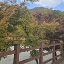 장성공원2 이미지