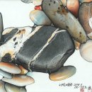 모경그린