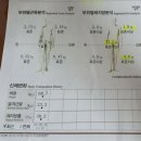 경희정산한약국 | 수지 분당 해독 다이어트 12일후 중간점검 후기