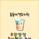 솔솔애견유치원 네이버블로그
